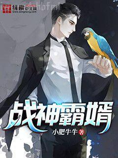 灰姑娘改造系統