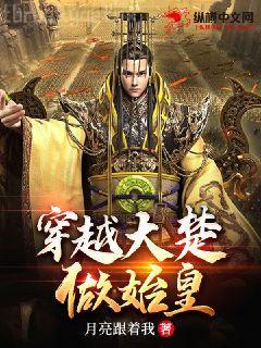 周晴奇峰公司張龍周晴